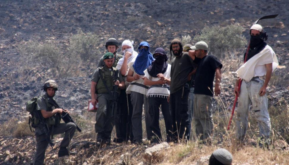 فلسطين – مستوطنون يقتحمون فصايل ويرعون أغنامهم بين منازل المواطنين