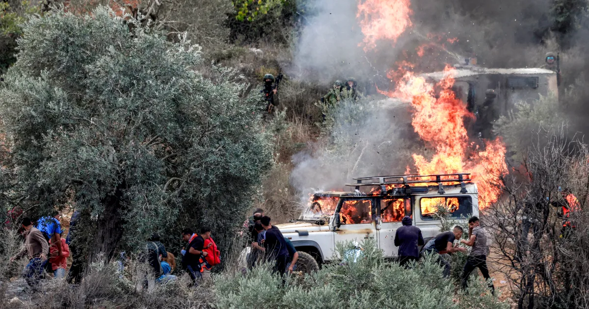 فلسطين – 685 انتهاكا للاحتلال ضد البيئة والموارد الطبيعية خلال العام 2025