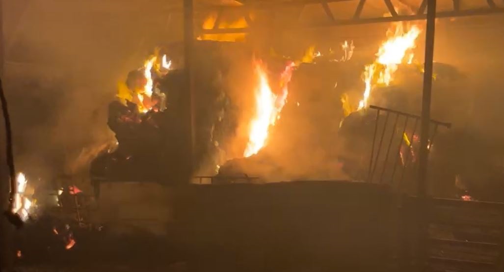 فلسطين – مستوطنون يحرقون الخيام في منطقة الميتة بالأغوار الشمالية