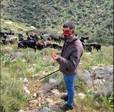 فلسطين – مستوطنون يعتدون بالضرب على راعي أغنام غرب سلفيت