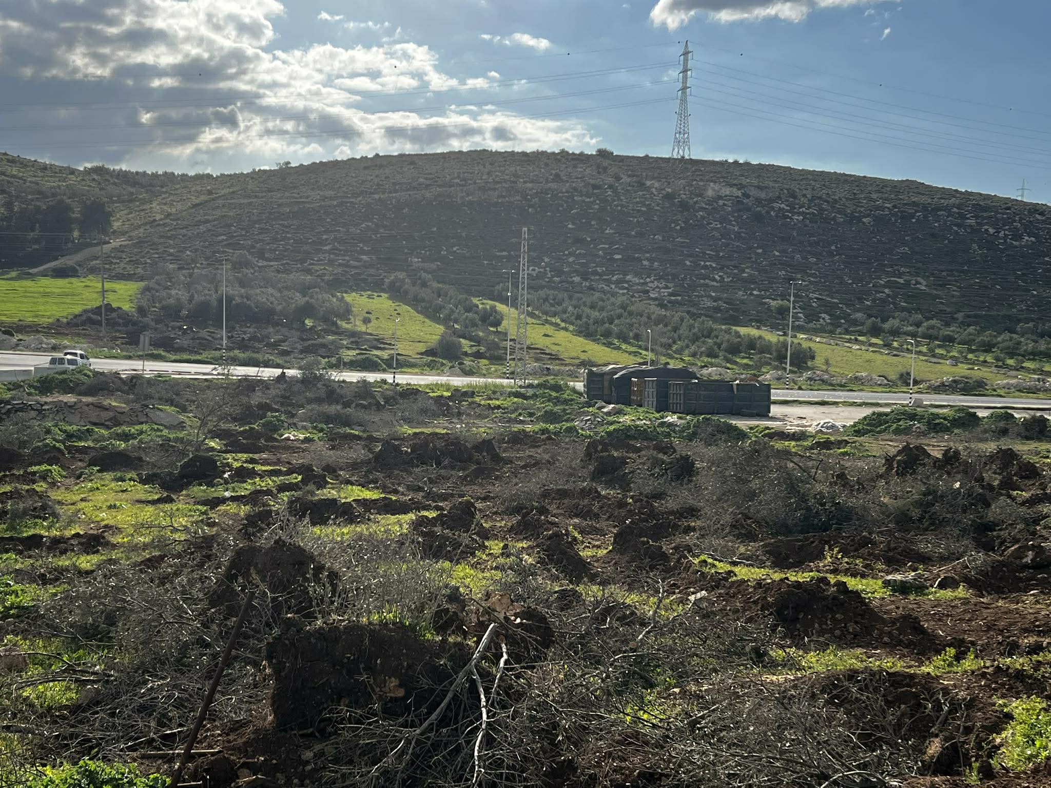 فلسطين – جرحى في اعتداءات مستوطنين في سعير ويطا والاحتلال يعتقل شابين وطفلا ويقتلع أشجار زيتون غرب الخليل