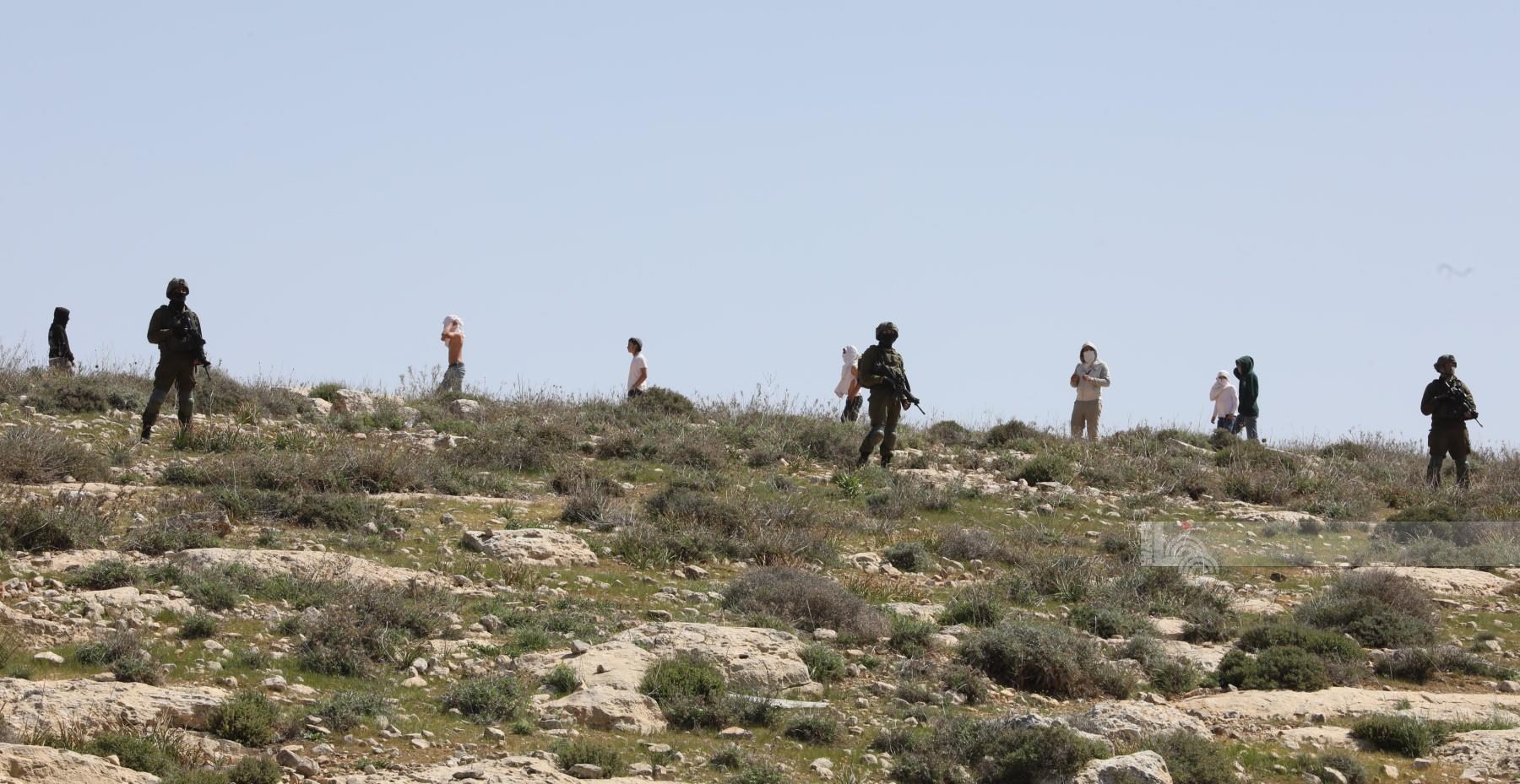 فلسطين – أصيب مواطنان واعتقل 3 آخرين في اعتداء مستوطنين بحماية قوات الاحتلال جنوب الخليل