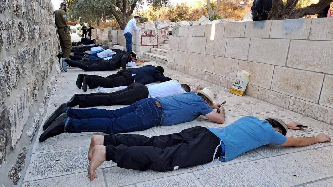 فلسطين – مستوطنون يؤدون طقوساً تلمودية في باب الساهرة