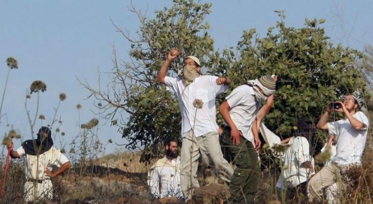 فلسطين – إصابة شخصين، أحدهما مسنة، جراء اعتداء مستوطنين عليهما في جبل جالس شرق الخليل