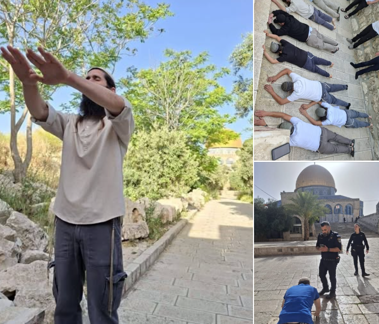 فلسطين – المستوطنون يقتحمون الأقصى